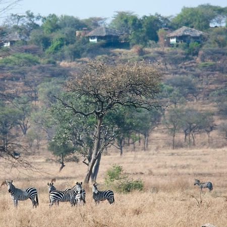 Mbalageti Serengeti Exteriér fotografie