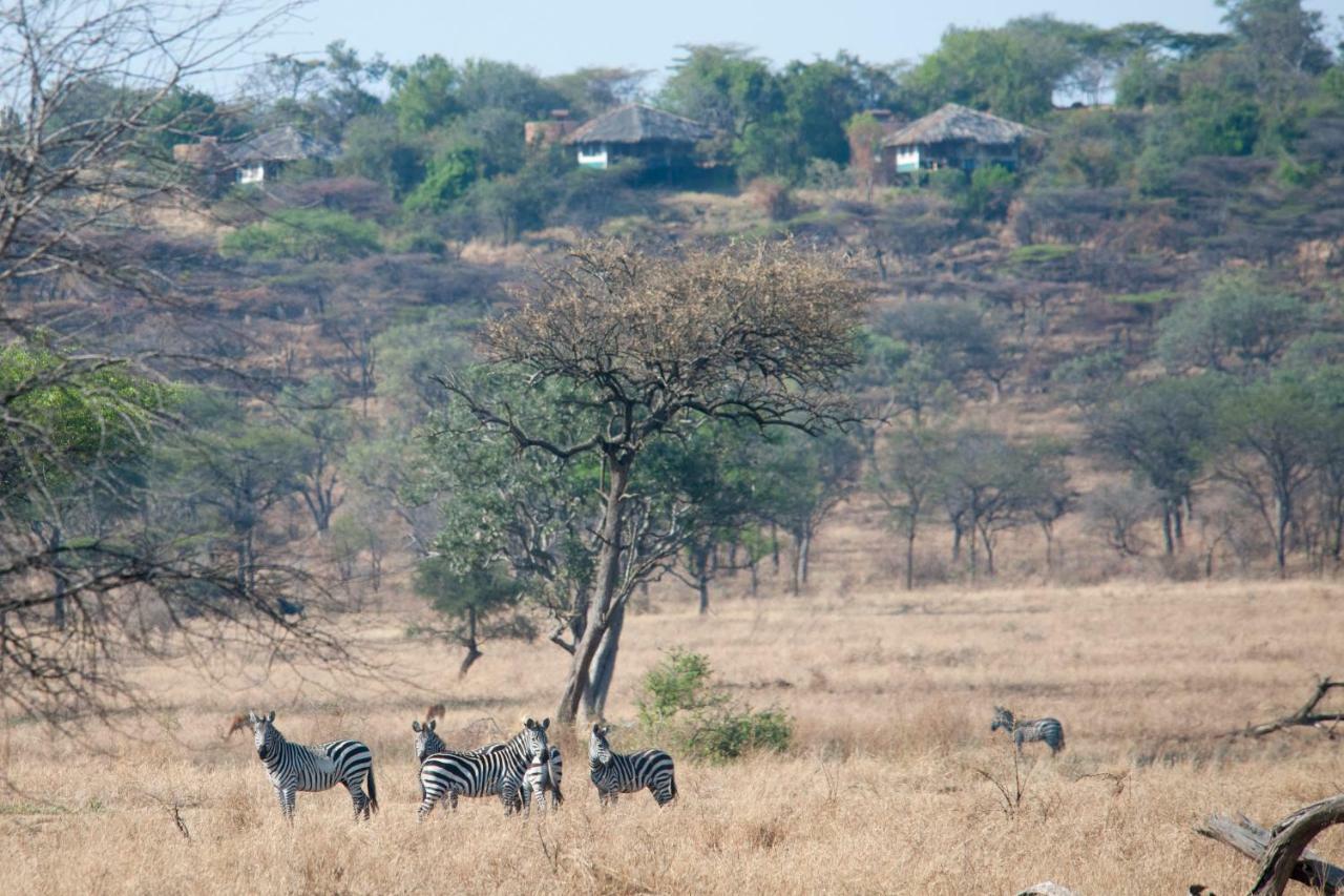 Mbalageti Serengeti Exteriér fotografie